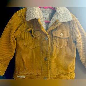 Zara Baby Courdroy Jackey with Sherpa lining